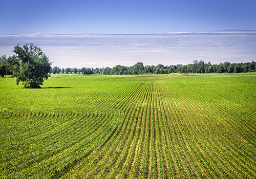 農(nóng)用有機硅消泡劑